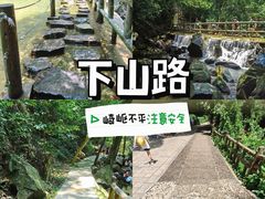 -鼎湖山风景区