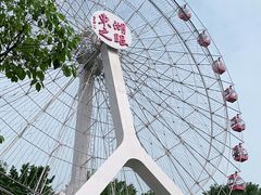 -东湖磨山景区樱花园-停车场