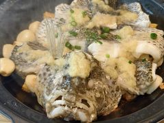 姜蓉石斑鱼-汤城小厨•粤菜•靓汤(金宝街店)