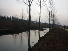 -洨河生态公园