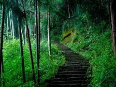 -千佛山风景名胜区