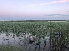 -南湖湿地公园