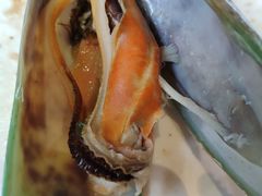 -小火花·干式熟成牛排馆Spark SteakHouse(剑桥郡店)