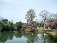 -西溪国家湿地公园