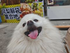 -鹏欣水游城
