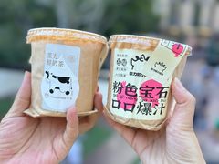 -茶力的小怪兽(中康店)