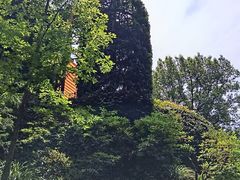 -三鹰之森吉卜力美术馆