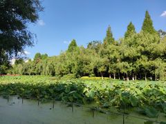 -月牙潭公园
