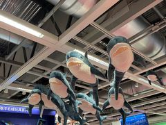 -宜家家居(哈尔滨商场店)