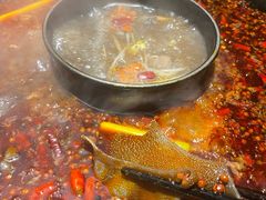 -陈眼镜火锅(总店)