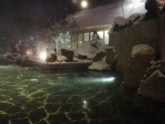 -汉拿山温泉度假酒店