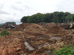-光明农场大观园
