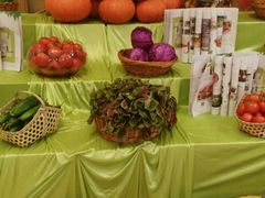 android_upload_pic-小厨娘淮扬菜(天印大道店)