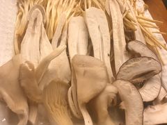 -老码头火锅(玉林店)