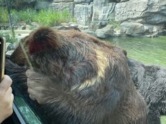 -北京野生动物园