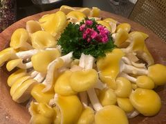 -季季山·云南野生菌火锅(上海首店)