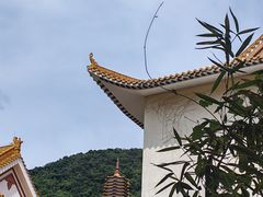 -深圳仙湖植物园