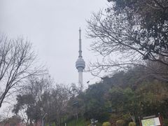 -龟山风景区-龟山电视塔
