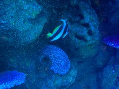 -沈阳海洋探索中心