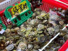 -外伶仃岛海鲜市场