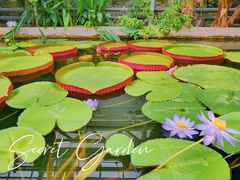 -国家植物园南园