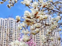 -白塘生态植物园
