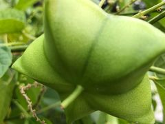 -华南国家植物园-售票处