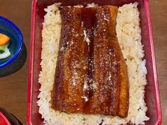 -千代武日本料理(哈西店)