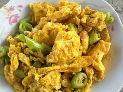 -马陆小张葡萄园农家乐