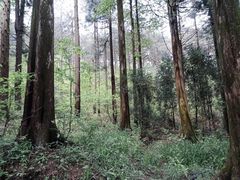 -罗田薄刀峰风景区