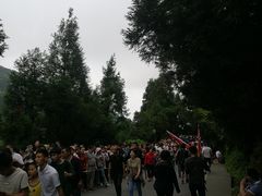 -南岳衡山风景名胜区