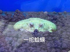 -南京海底世界