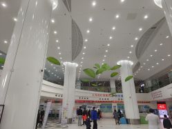 -上海市儿童医院(泸定路院区)