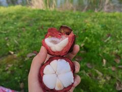 -艾溪湖湿地公园