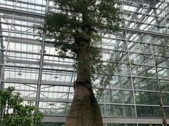 -南山植物园
