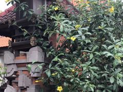 -乌布德传统市场