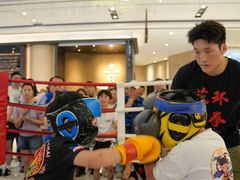 -花环泰拳·勒德斯拉泰拳馆(静安店)