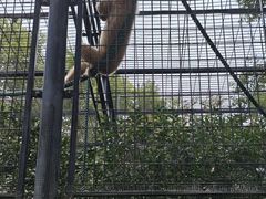 -上海动物园(地铁站)