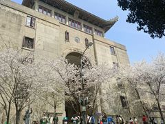 -武汉大学-樱园