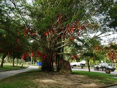 -红色娘子军纪念园