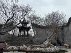 -朴园