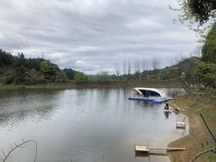 -千岛湖龙川湾