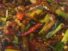 -陈胖子特色菜.鲜货现炒(融景城店)