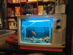 -永安里地摊烤肉(首创店)