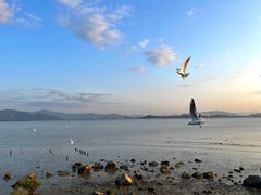 -深圳湾公园(南山区)