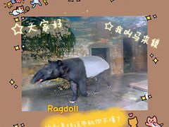 -合肥野生动物园