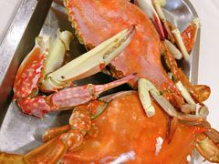 -渔民船说·北塘海鲜·天津菜·海肠捞饭(北塘古镇店)