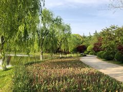 -上海鲜花港