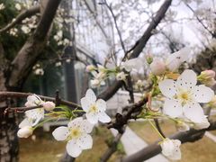 -白塘生态植物园