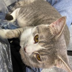 -In Beauty印诺时尚美发沙龙